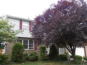 3rd image of 17 Cherrywood Dr