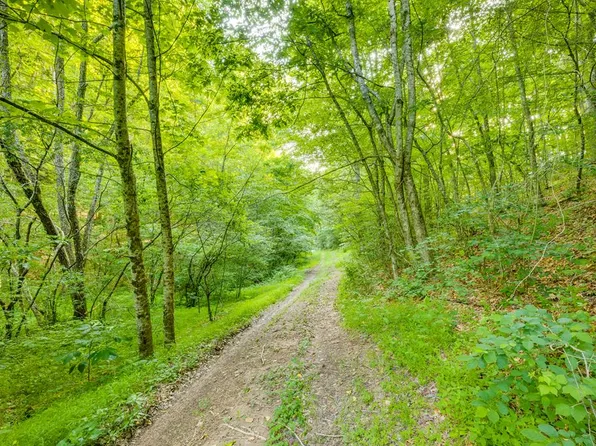 2998 Walkers Creek Rd, Marion, VA 24354