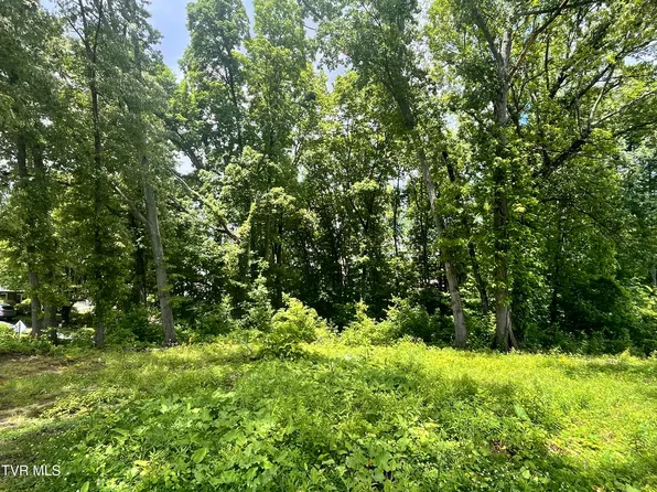 Northwood Ave, Johnson City, TN 37615