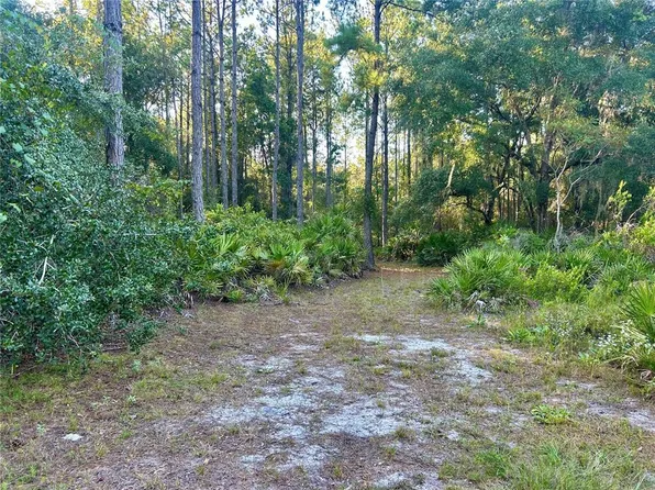 0 SE 225th St, Hawthorne, FL 32640