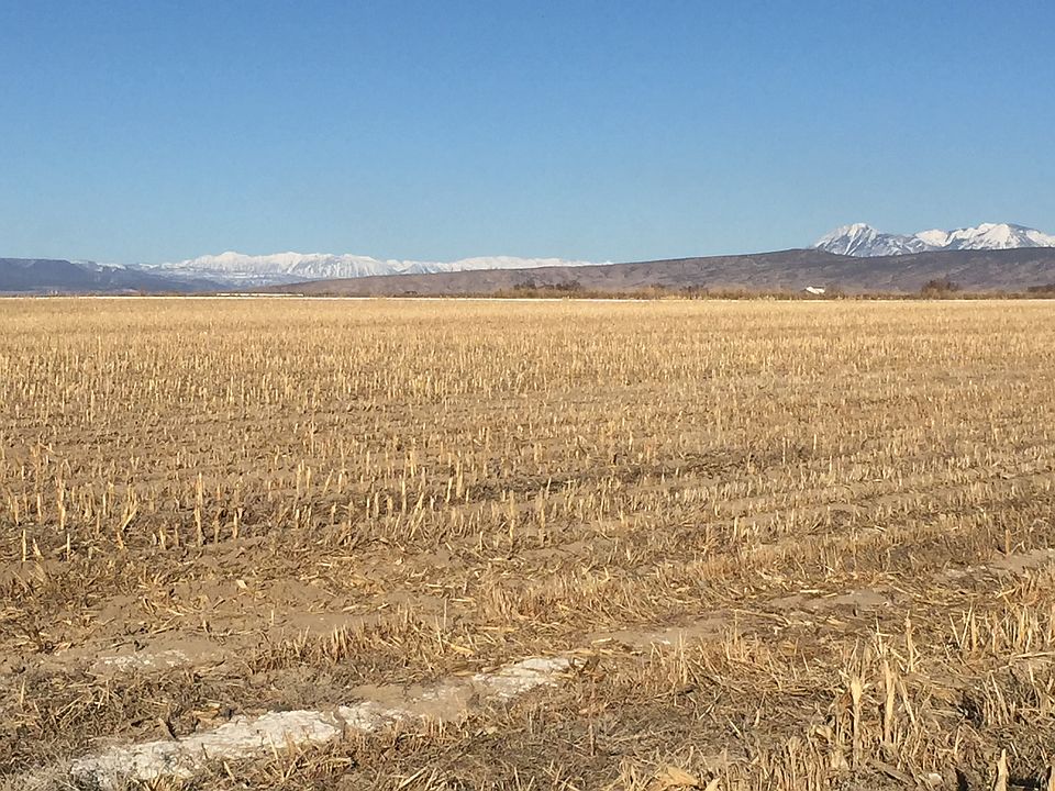 2nd image of Tbd B Rd
