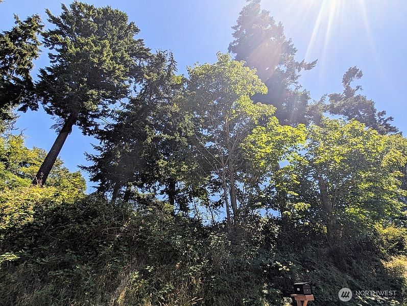 5th image of 4343 (appx) S Camano Drive