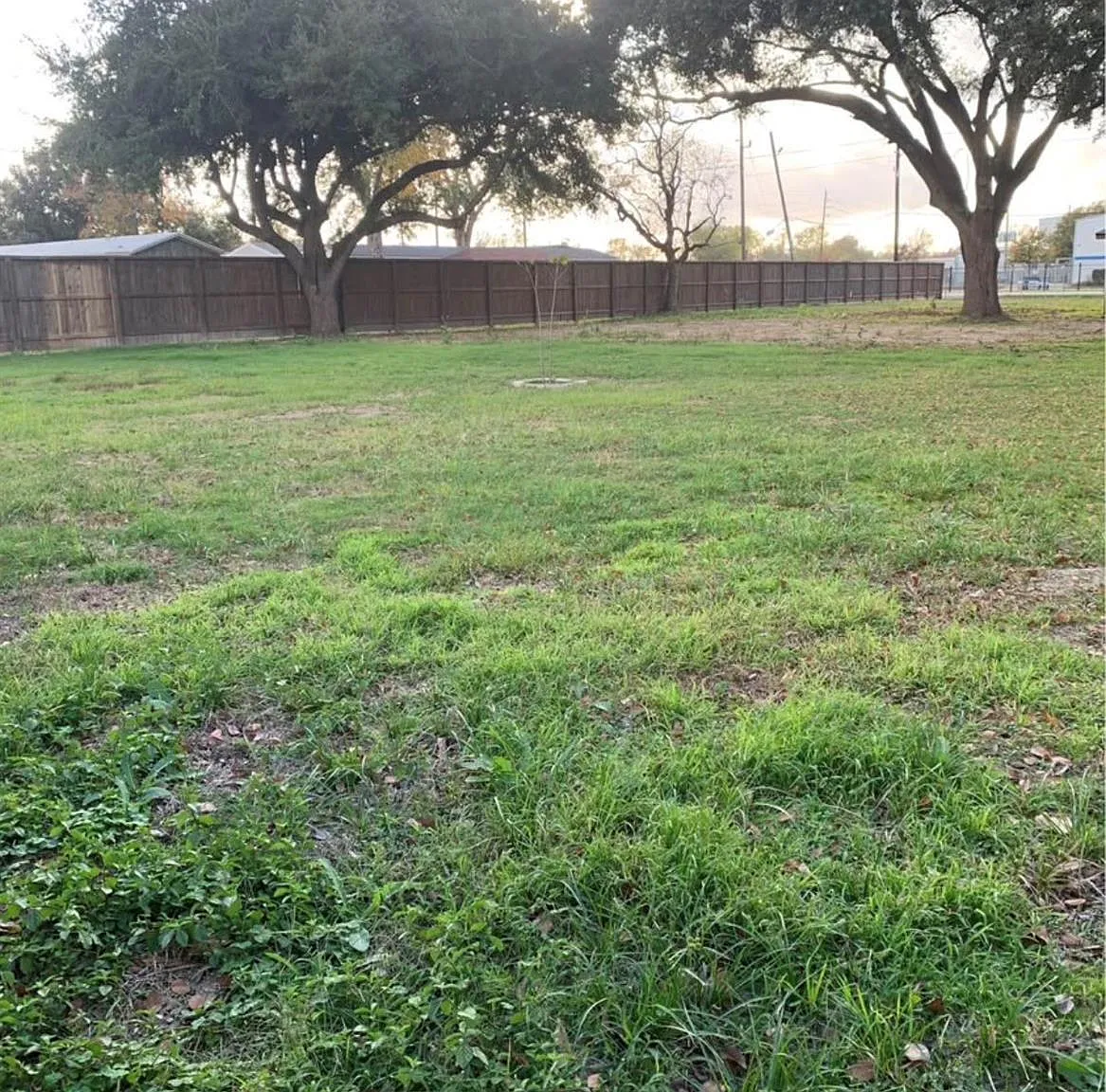 Studio, $1,250 — Photo 2