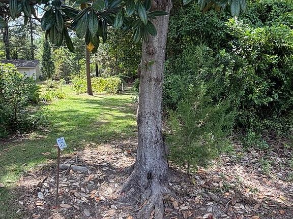 2nd image of 0 Rice Ln