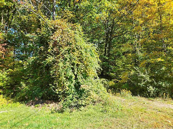 3rd image of 14 Larch Drive