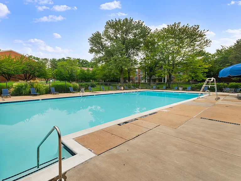 Sparkling Swimming Pool