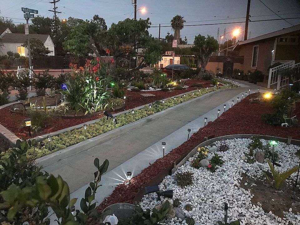 Front yard 