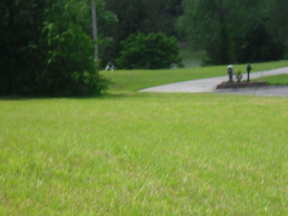 Back looking forward