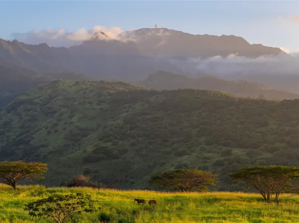 65-283 Kaukonahua Rd #3, Waialua, HI 96791