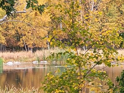 25864 11th St W, Zimmerman, MN, 55398