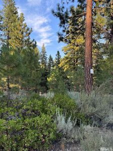 0 Joy Lake Rd, Reno, NV, 89511