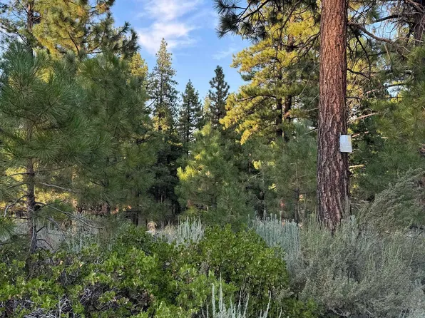 0 Joy Lake Rd, Reno, NV 89511