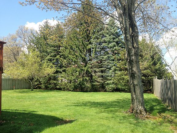 Level Spacious Backyard