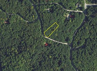 276 Valley Wood Dr, Bellaire, MI