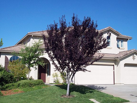 2nd image of 5013 Garlenda Dr