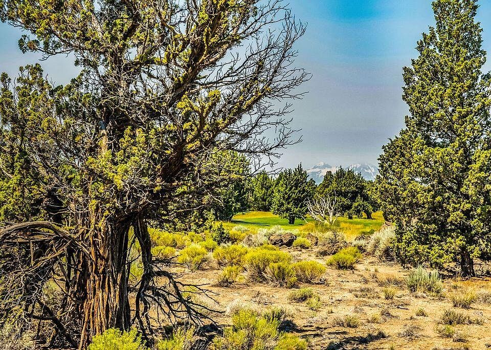 1st image of 22914 Moss Rock Dr Lot 215