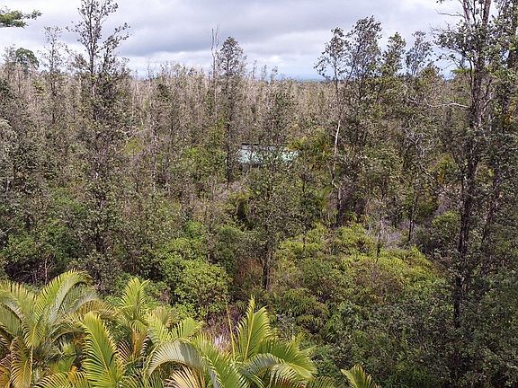 4th image of Road 11 Pulelehua Lot 5999