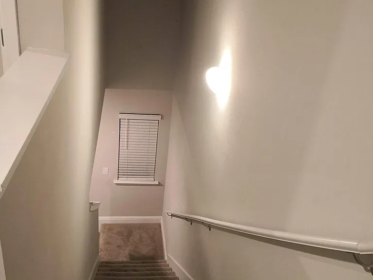 6783 Spaniel Dr — Photo 10