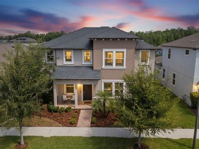 4465 Tubular Run, Land O Lakes, FL, 34638