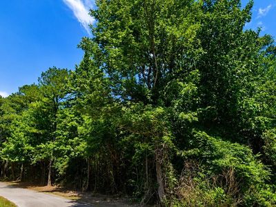Sheltered Cove Rd #0, Jasper, AL, 35504