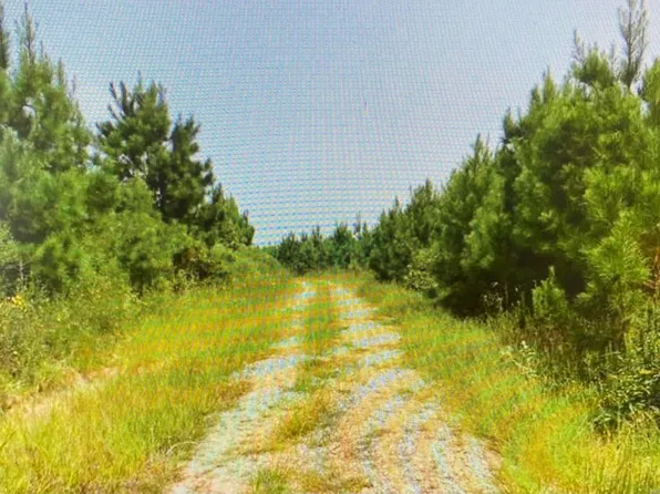 0 Curtis Rd, Curtis, AR 71728