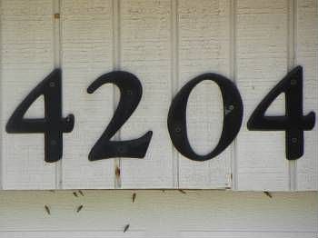 4th image of 4204 Garand Ln