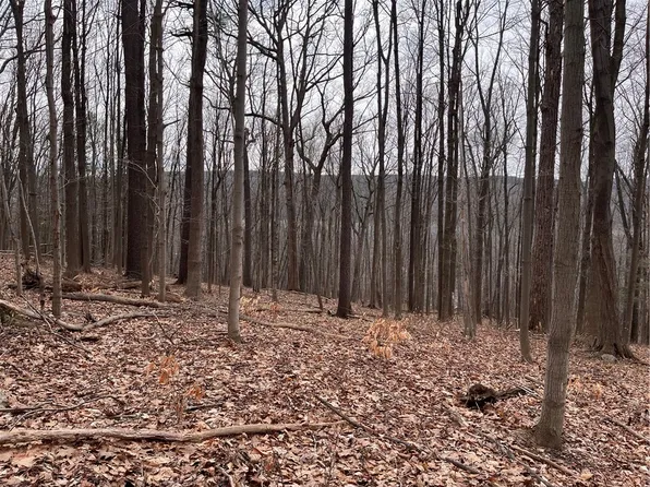 0 Route 64 Lot 11, Canandaigua, NY 14424