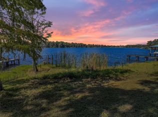 1233 Chesapeake Dr, Odessa, FL 33556