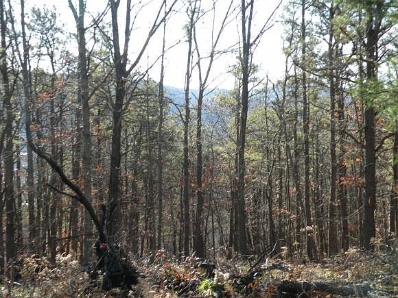 1st image of 185 Midline Rd