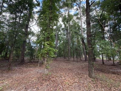 0 Us Highway 90, Live Oak FL - Owner Finance Home