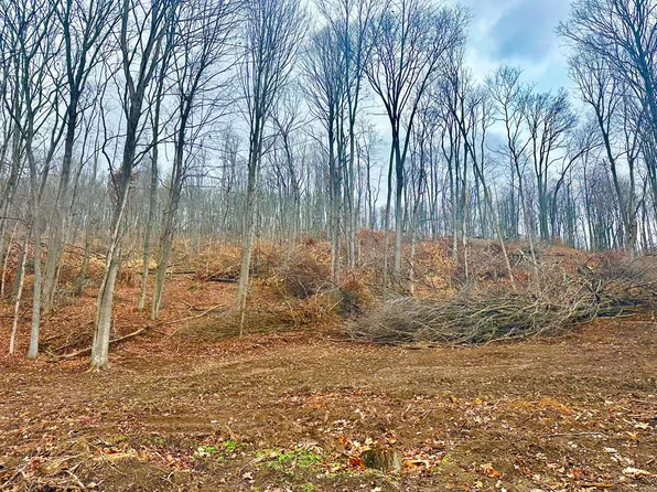 0 Lower Twin Rd, South Salem, OH 45681