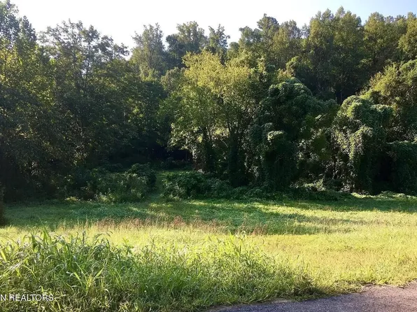 3315 W Wolf Valley Rd, Clinton, TN 37716