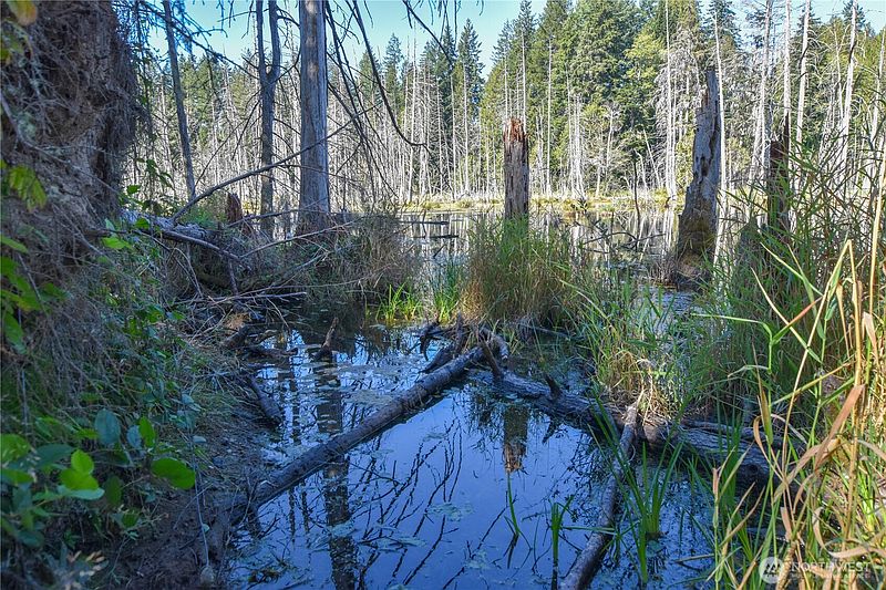 5th image of 20 Acres SW Hunter Road