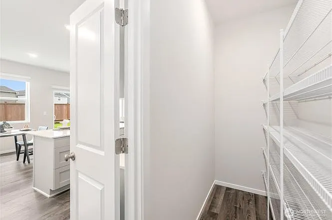 Kitchen Walk-in Pantry with Storage Racks