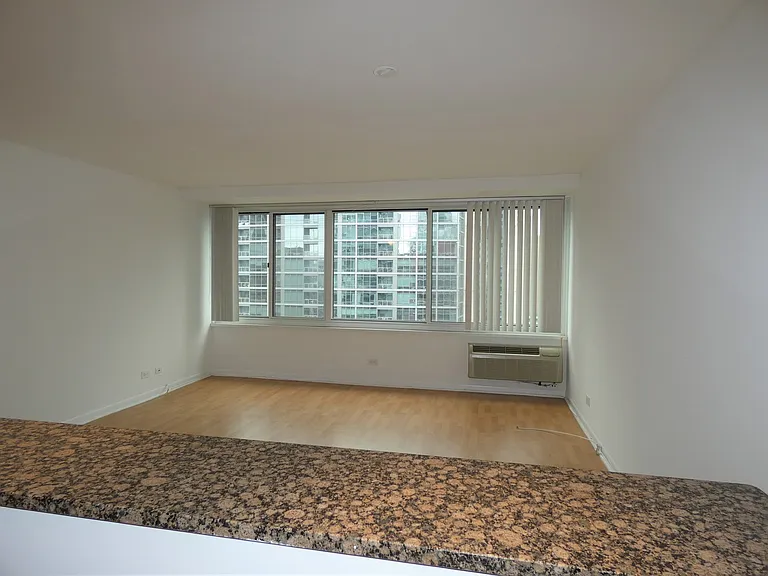 211 E Ohio St #2719 — Photo 12