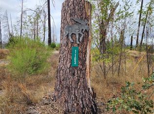 1103 Bald Rock Rd, Berry Creek, CA 95916