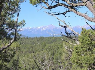 L54 M Path, Cotopaxi, CO 81223