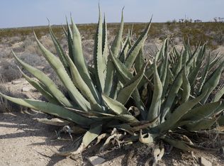 5000 Hwy 118, Terlingua, TX 79852