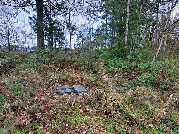 4th image of 35518 54th Ave S