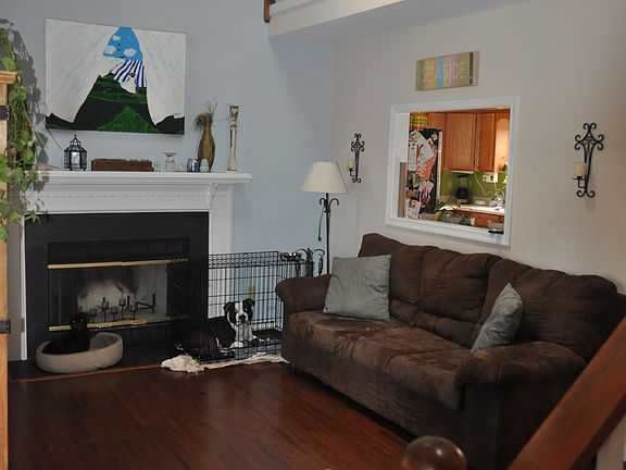 Living Room (cute dogs not included!)