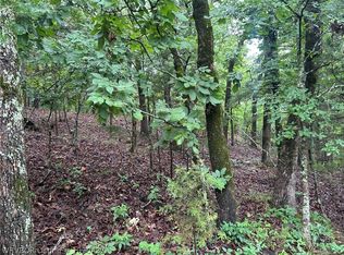 Canyon Rd, Poteau, OK 74953