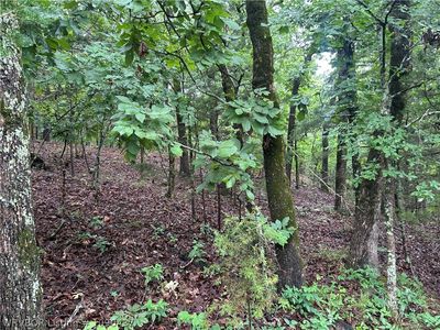 Canyon Rd, Poteau, OK, 74953