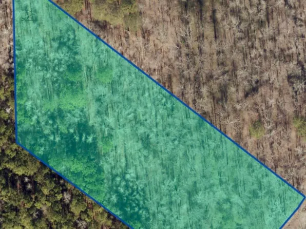 1 County Road 50, Leesburg, AL 35983