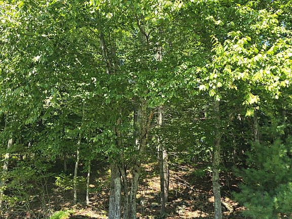 2nd image of 3 Renee Dr