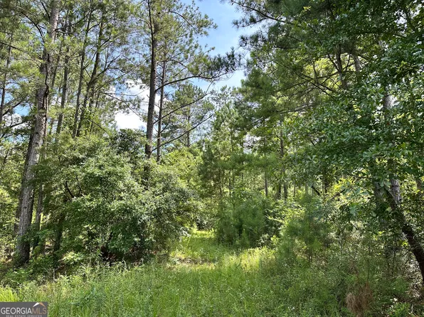 180 George Gray Rd, Danville, GA 31017