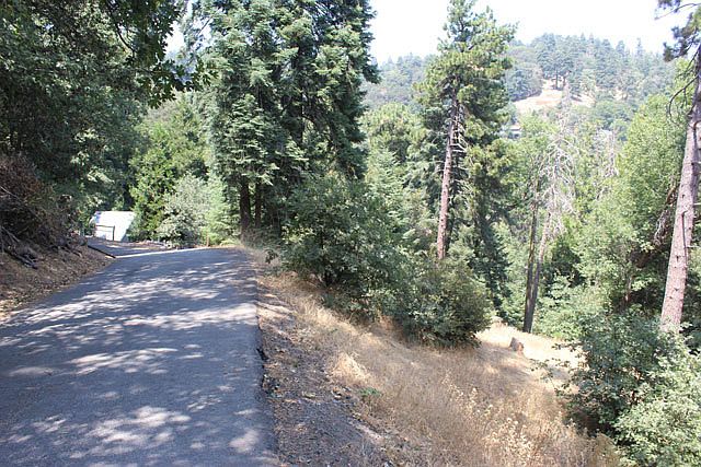 1st image of Fir St