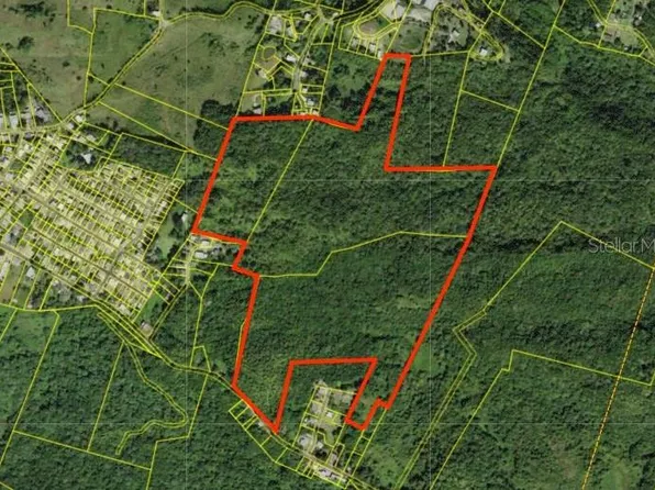 Bo Juncal Pr #111, San Sebastian, PR 00685