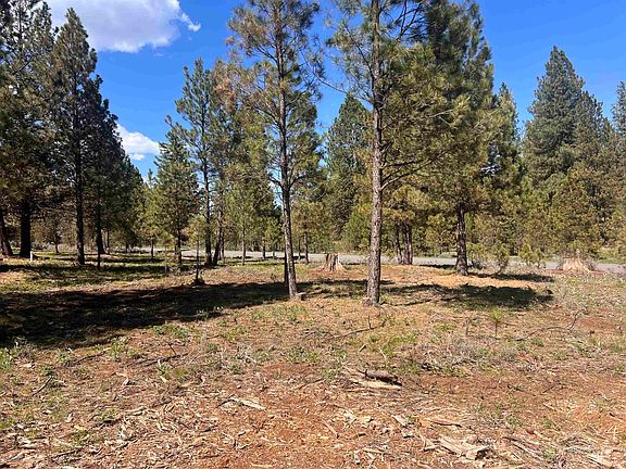 4th image of LOT 44 Old Highway 95