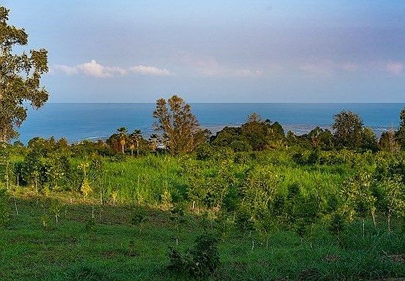 3rd image of 755420 Uluwehi Pl