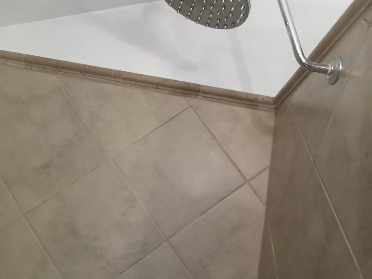 dual shower